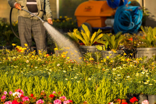 irrigazione efficace del giardino